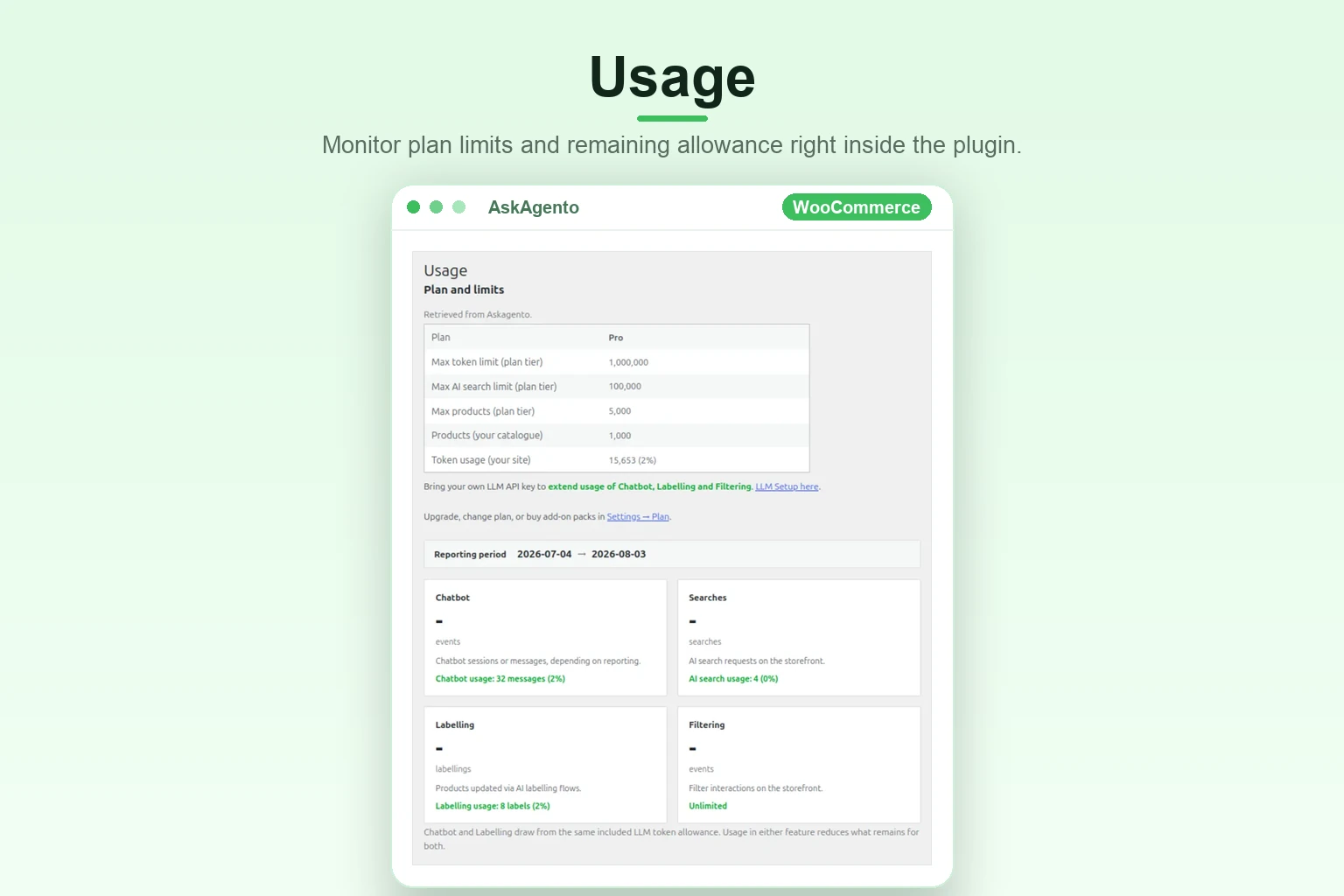 Plan usage limits and remaining allowance dashboard